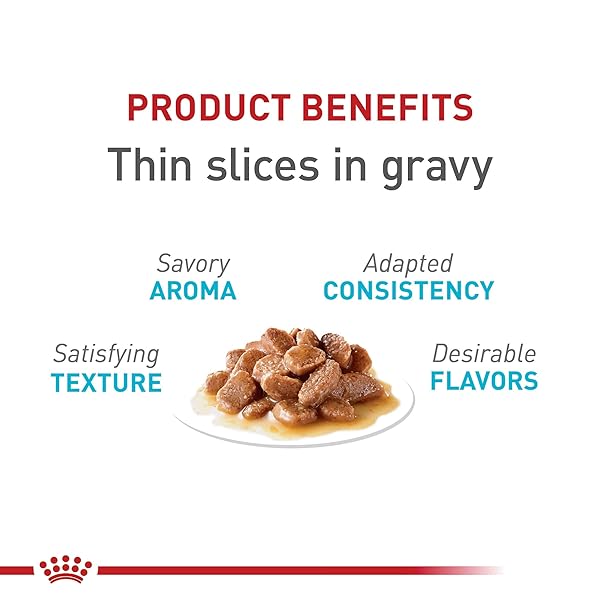 ROYAL CANIN FELINE URINARY CARE THIN SLICES IN GRAVY WET CAT FOOD, 3 OZ CAN, CASE OF 6