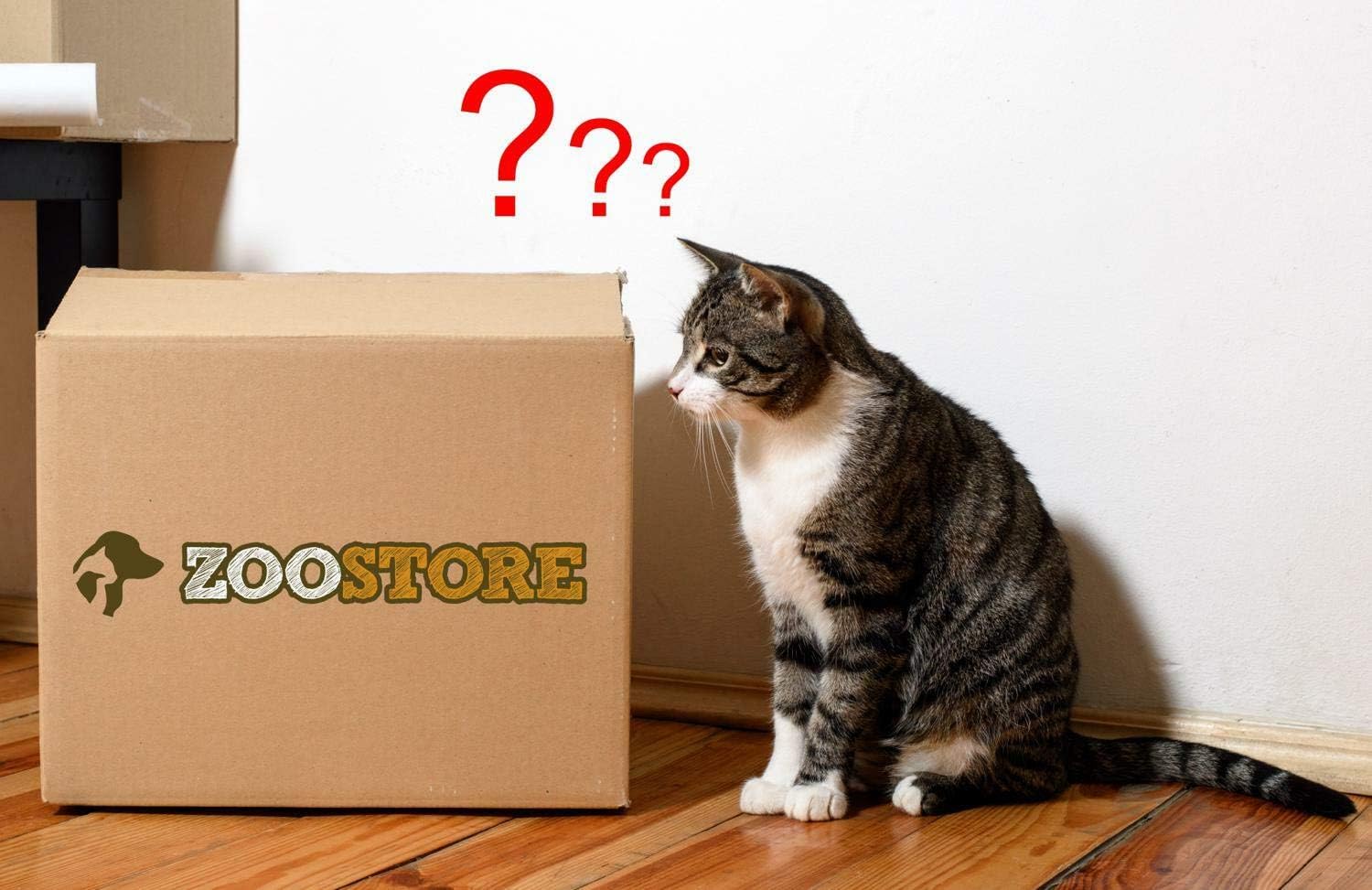 PETGARD - Caja Sorpresa para Todos los Gatos: Amazon.es: Productos para mascotas