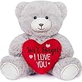 My OLi Valentine's Day Gift for Her 7” Plush Teddy Bear Stuffed Animal Plush Bear with Red Heart Plush Toys Valentines Bear for Babies Girlfriend Wife Mom, Gray