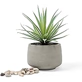 Kurrajong Farmhouse Artificial Plant | 7" high Fake Plant | Artificial Succulent in Pot | Fake Succulent | Faux Plant Indoor | Faux Greenery Desk Decor