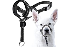 GoodBoy Dog Head Halter with Safety Strap - Stops Heavy Pulling On The Leash - Padded Headcollar for Small Medium and Large Dog Sizes - Head Collar Training Guide Included (Size 2, Black)