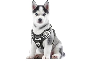 Tacwild No Pull Dog Harness - Adjustable Reflective Dog Vest with Metal Snap, Soft Breathable Mesh No Choke Puppy Harness, Easy to Put on & Take Off (Black-XS)