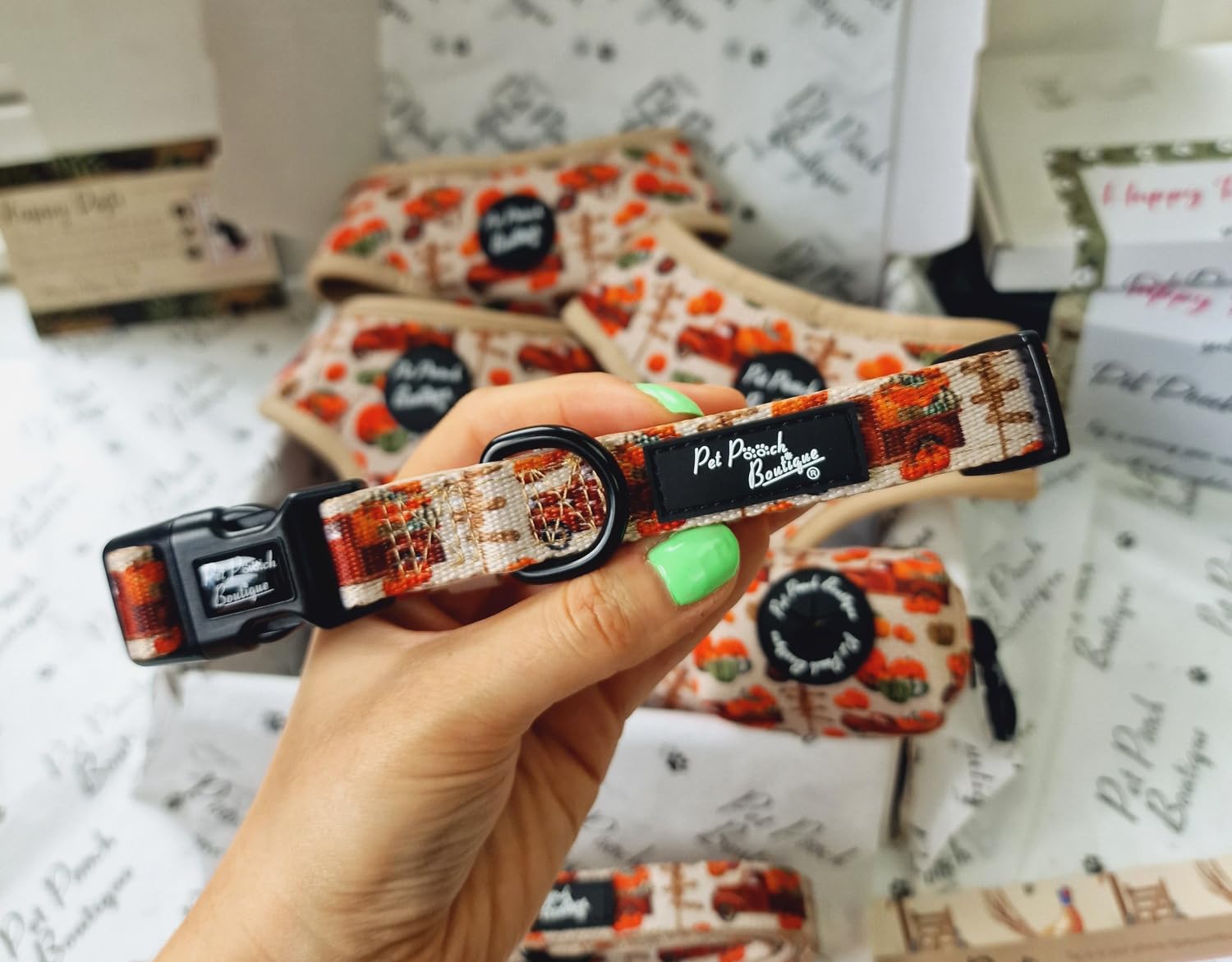 PUMPKIN PATCH CART DOG COLLAR XS