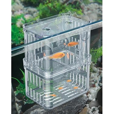 Amazon Best Sellers: Best Fish Breeding Tanks