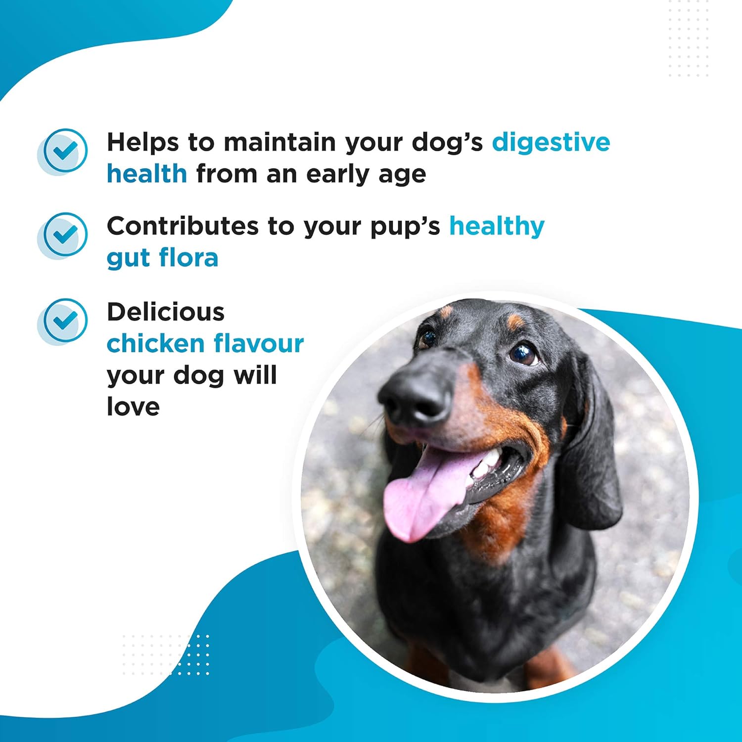 Tummy - Advanced Probiotic & Prebiotic for Dogs with Sensitive Stomachs Gas, Itchy Skin, 120 Count (Pack of 1) - Image 3