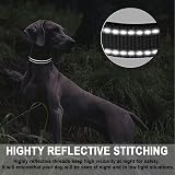 ATETEO Reflective Adjustable Dog Collar with Neoprene Padding Black S 9-14.2 in view 5