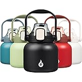 BJPKPK Insulated Water Bottles with Straw, 20 oz Cute Water Bottles with Handle, BPA Free Stainless Steel Metal Jug, Easy Carry Flasks for Men & Women, Black