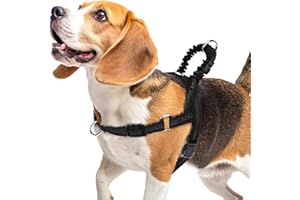 PUPTECK No Pull Dog Harness Medium Sized Dog, Adjustable Reflective Pet Vest Harness with Bungee Handle, Escape Proof No Choke Harness for Medium Dogs Walking Training, Black M