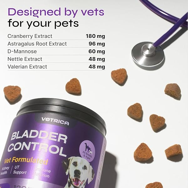 DOG UTI TREATMENT – BLADDER CONTROL CRANBERRY CHEWS – CRANBERRY SUPPLEMENT FOR IMMUNE FUNCTION, URINARY TRACT, BLADDER & KIDNEY HEALTH – D-MANNOSE SOFT TREATS FOR DOG INCONTINENCE – ALL BREEDS & AGES