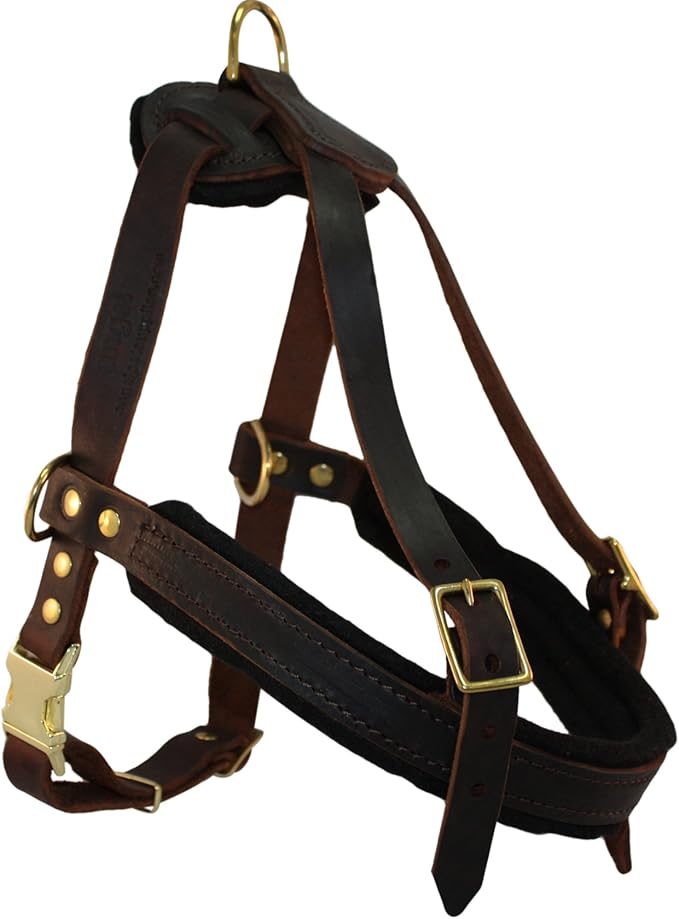 Leather Dog Harness, Large, Brown (Aspen), English Bridle