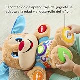 Fisher-Price First Discovery Puppy Toy Baby 6 Months Multicoloured Spanish view 9