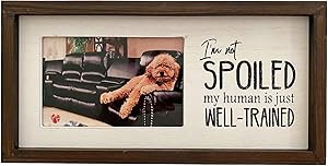 Dog Picture Frame Wood Veneer 6x12 Takes a 4x6 Photo, Dog Photo Frame, Dog Dad Picture Frame, Family Picture Frame, Best Friend Picture Frame, Dad Frame,