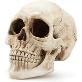 SHUS LIVE Skull Decor, Premium Resin Realistic Skeleton Head Statue for Halloween, Fake Human Bone Skull Model for Halloween Decoration, Home Bookshelf, Table, Party Display