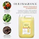 Baylis & Harding Sweet Mandarin & Grapefruit Hand Wash 10 Litre Pack 2 x 5 L view 3
