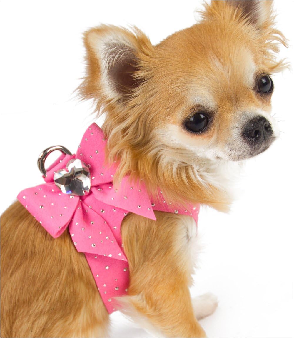 Stardust TAIL-BOW Harness