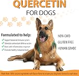 BODY JUICE OIL Quercetin for Dogs Bacon Flavor 60ml All Breeds Antihistamine view 7