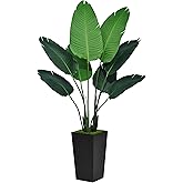 ASTIDY Bird of Paradise Artificial Plant 5FT - Faux Tropical Palm Tree with Black Tall Planter - Fake Floor Plant in Pot - Artificial Silk Tree for Home Office Living Room Decor Indoor