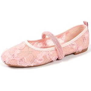 Women's Round Toe Floral Dot Lace Mesh Shoes, Fashion Breathable Mary Jane Ballet Shoes, Casual Daily Commute Slip-On Flat Sa