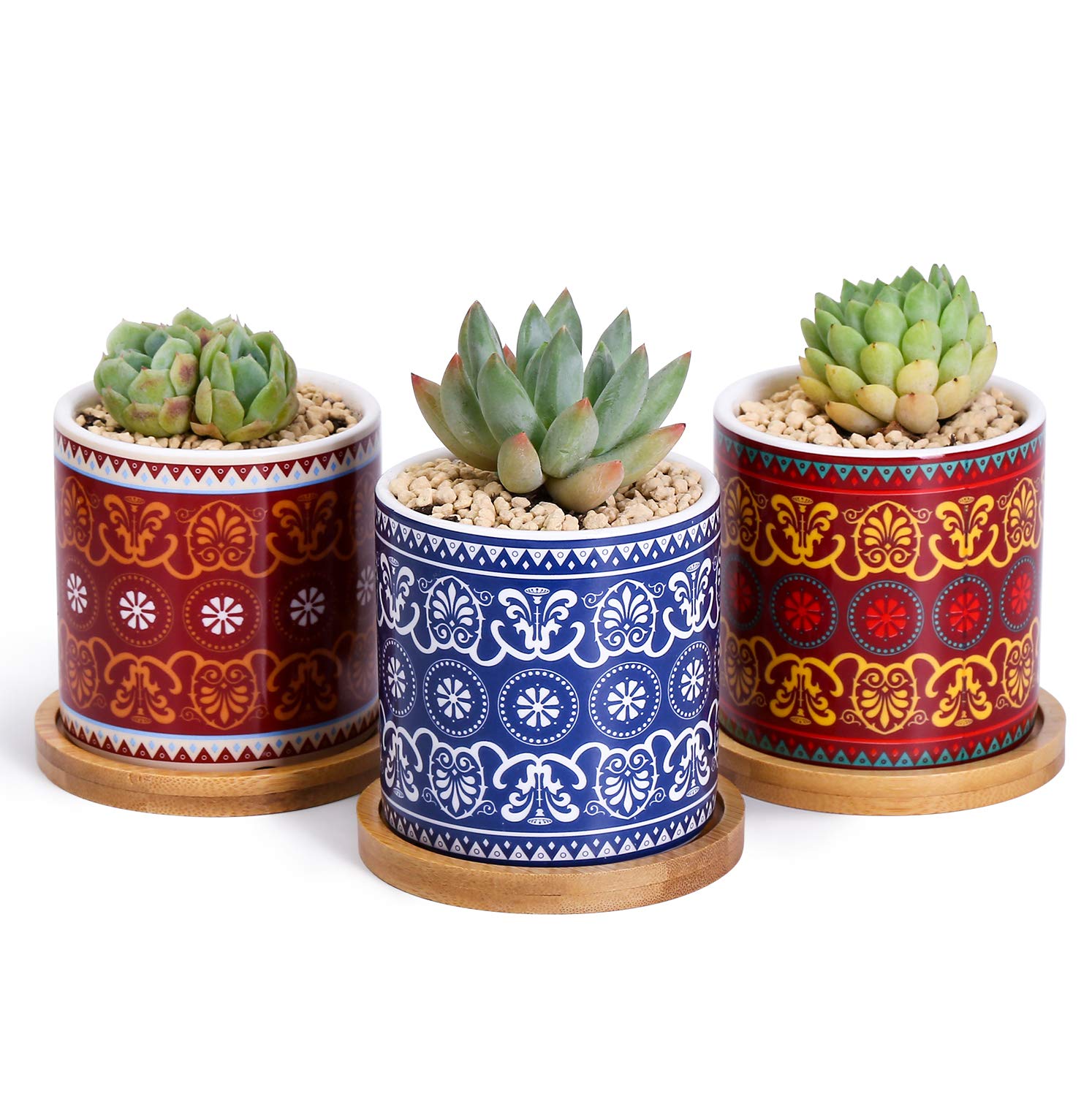 Greenaholics Succulent Pots - 3 Inch Morocco Pattern Cylinder Ceramic Planters for Small Succulent, with Bamboo Saucers, Set of 3