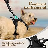 rabbitgoo Dog Harness Small No Pull Front Back Clip Adjustable Reflective XS view 7