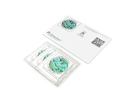 Image of 700729655726