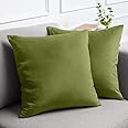 lalaLOOM Velvet Throw Pillow Covers, Set of 2, 20x20 Decorative Square Pillows Home Decor, Soft Accent Cases, Silky Machine Washable Pillowcases for Sofa, Couch, Bedroom, Living Room, Moss Green