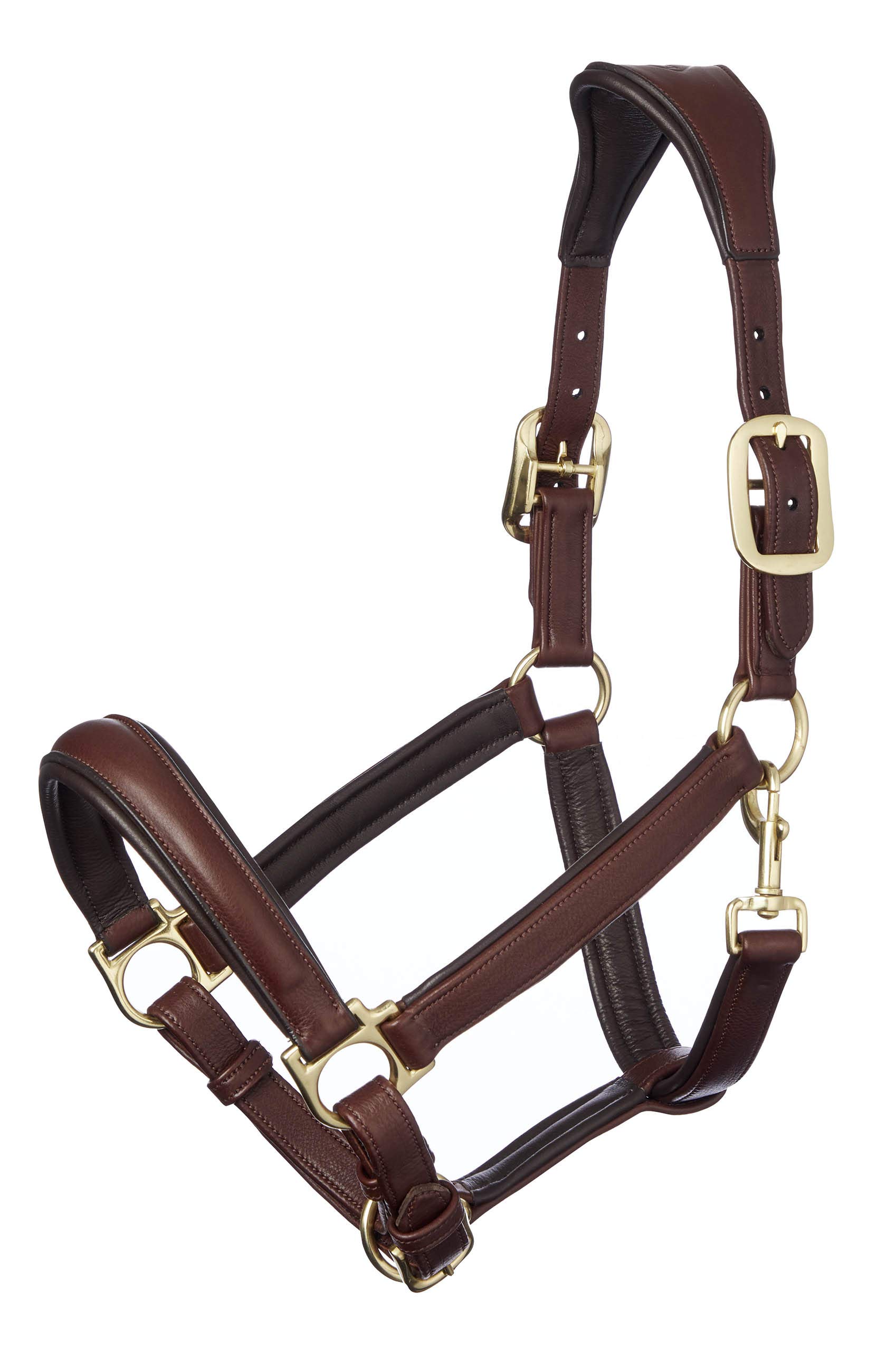 LeMieux Anatomic Headcollar for Horses in Brown - Padded Leather & Metal Fittings - Adjustable - Cob