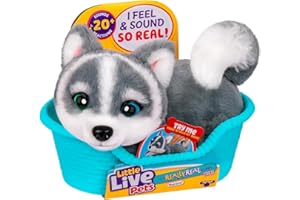 Little Live Pets My Really Real Puppy Mini Aurora The Husky, Interactive Plush Toy with Display Basket, 20+ Sounds and Reactions, Puppy Toys for Kids