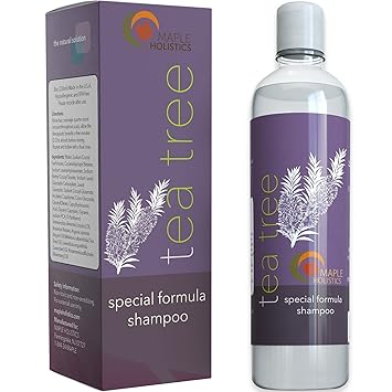 Amazon Com Maple Holistics Tea Tree Shampoo 8 Oz 236 Ml