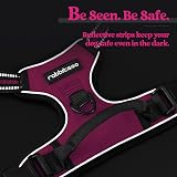 rabbitgoo Small Dog Harness No Pull Reflective Rose Red Easy Control Handle view 8