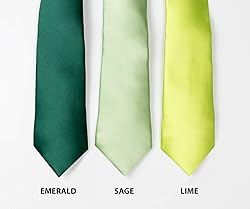 Spring Notion Boys' Satin Zipper Necktie and