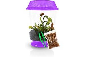 NATURE GIFT STORE Venus Fly Trap Live Plant with 4.5" Purple Terrarium + Carnivorous Plants Food Bundle with Feeding Tweezers - Carnivorous Plant Soil and Live Venus Flytrap