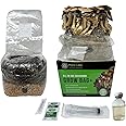 Myco Labs All-in-One Mushroom Grow Bag (4 lbs) for Manure Loving Mushrooms + Spore Germination Jar!