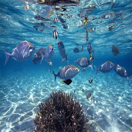 Amazon Bosakp 3d壁画壁紙リビングルーム背景魚青い海の世界3d写真壁画 400x280cm 壁紙