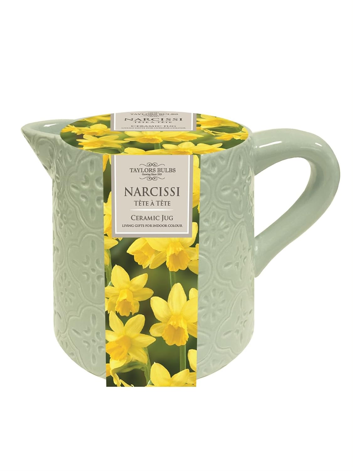 Narcissi Tete a Tete Bulbs and Caeramic Jug Planter Gift Set Amazon.co.uk Garden & Outdoors