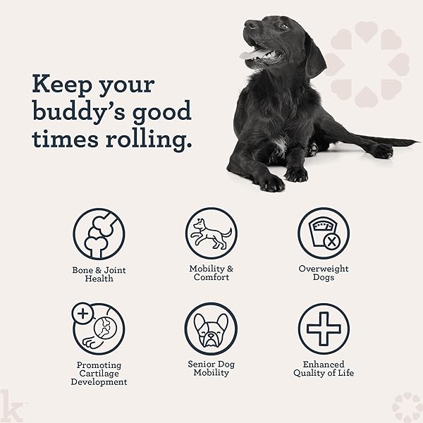 KRADLE HIP AND JOINT CHEWS FOR DOGS – DAILY MOBILITY & JOINT HEALTH SUPPLEMENT – SOFT CHEWS WITH GLUCOSAMINE, CHONDRIOTIN, MSM, HYALURONIC ACID & TURMERIC – 75 CHEWS