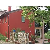 Tadelakt plaster Tadelakt plaster