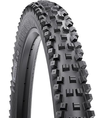 Amazon.com : WTB Trail Boss Mountain Bike Tire (26