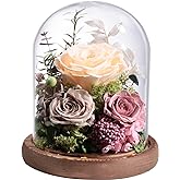 Lovenfold Flowers for Delivery Preserved Rose Gifts for Her,Forever Roses Flowers in Glass Dome,Birthday Gifts for Women Mom Wife Friend(Champagne Rose)