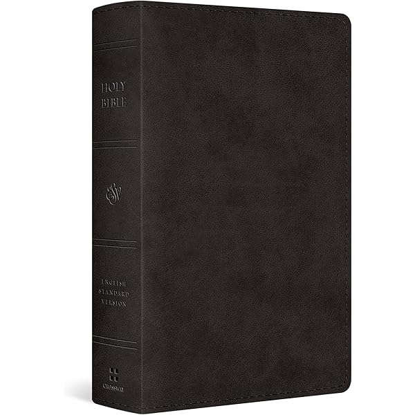 NKJV, Single-Column Reference Bible, Verse-by-verse, Black Bonded