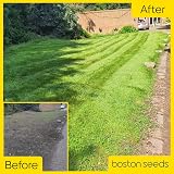 Boston Seeds Fast Growing Grass Seed 20kg Hard Wearing Lawn Seed view 7