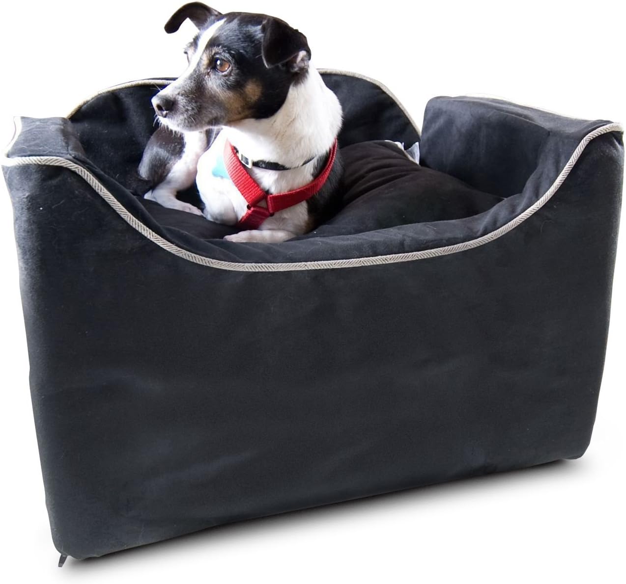 Best snoozer lookout ii pet car seat