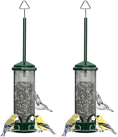 Amazon Com Squirrel Buster Mini Squirrel Proof Bird Feeder W 4