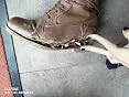 Bottines Mustang Pour Femme - Modèle 1139-630 En Cuir Synthétique, Doublure Chaude, Fermeture éclair Et Laçage