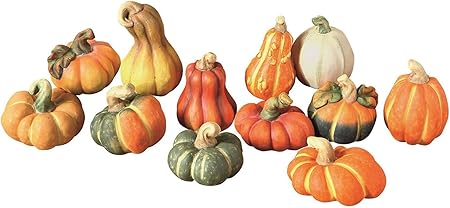 Frank Flechtwaren Decorative Terracotta Pumpkins Set Of 12