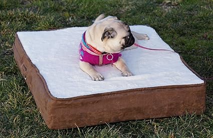 Free Bonus Replacement Case Petbed4less Premium Orthopedic Memory Foam Pet Bed Dog Bed Small To Super Extra Large Dog W Removable External Cover Waterproof Dog Bed Liner Beds Furniture Dogs