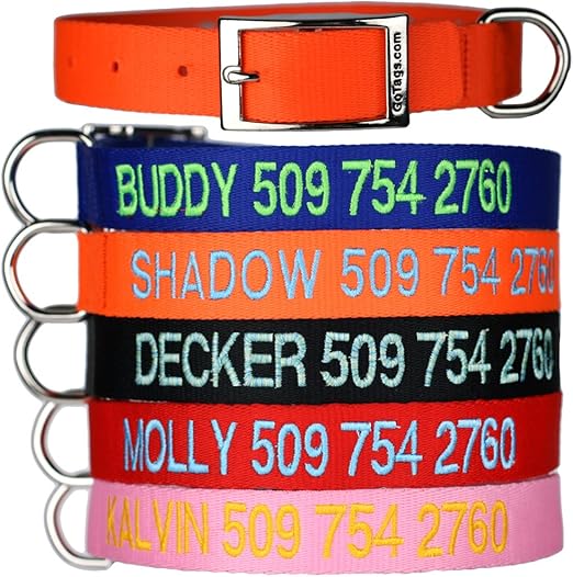 embroidered dog collars amazon