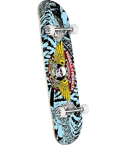 Amazon.com: Powell Peralta Ray Rodriguez Skull & Sword