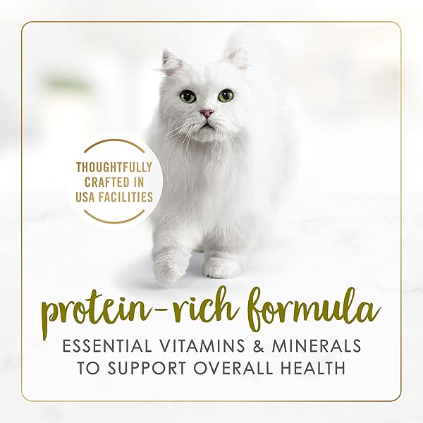 PURINA FANCY FEAST PATE TURKEY AND GIBLETS FEAST CLASSIC GRAIN FREE WET CAT FOOD PATE – (PACK OF 24) 3 OZ. CANS