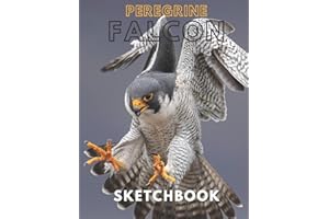 Peregrine falcon Sketchbook Large sketchbook for drawing 8.5 x 11 inch (21.59 x 27.94 cm) 150 pages: Peregrine falcon blank Journal & blank notebook , sketch,Draw & Doodle